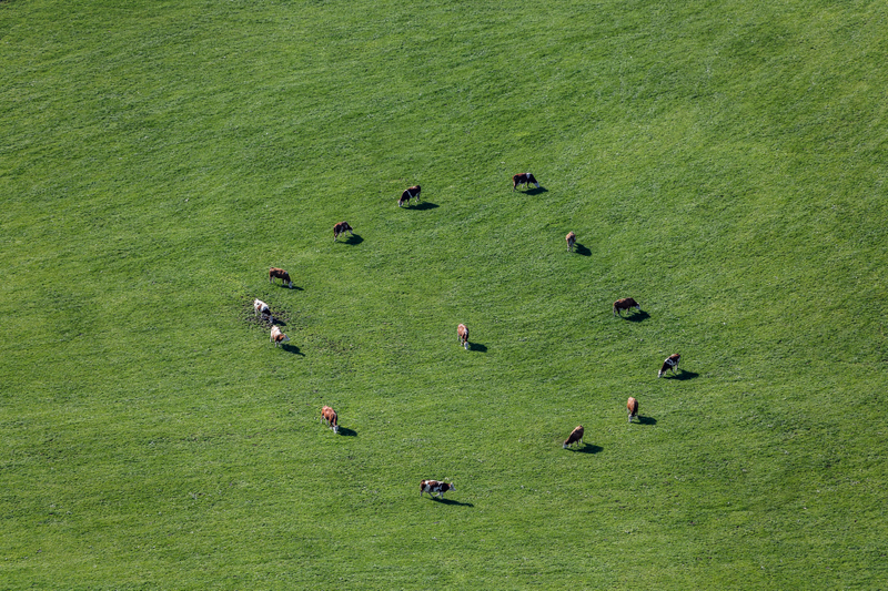 Illustration for article titled The Odd and Mesmerizing Aerial Photos of Klaus Leidorf
